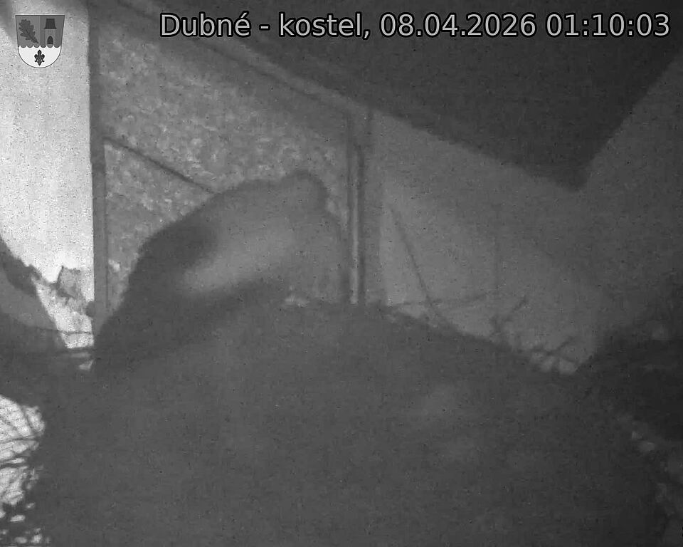 Capi_Dubne_20260408_011003.jpg (1350&nbsp;x&nbsp;1080)