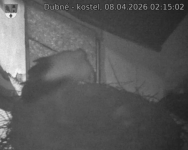 Capi_Dubne_20260408_021502.jpg (1350&nbsp;x&nbsp;1080)
