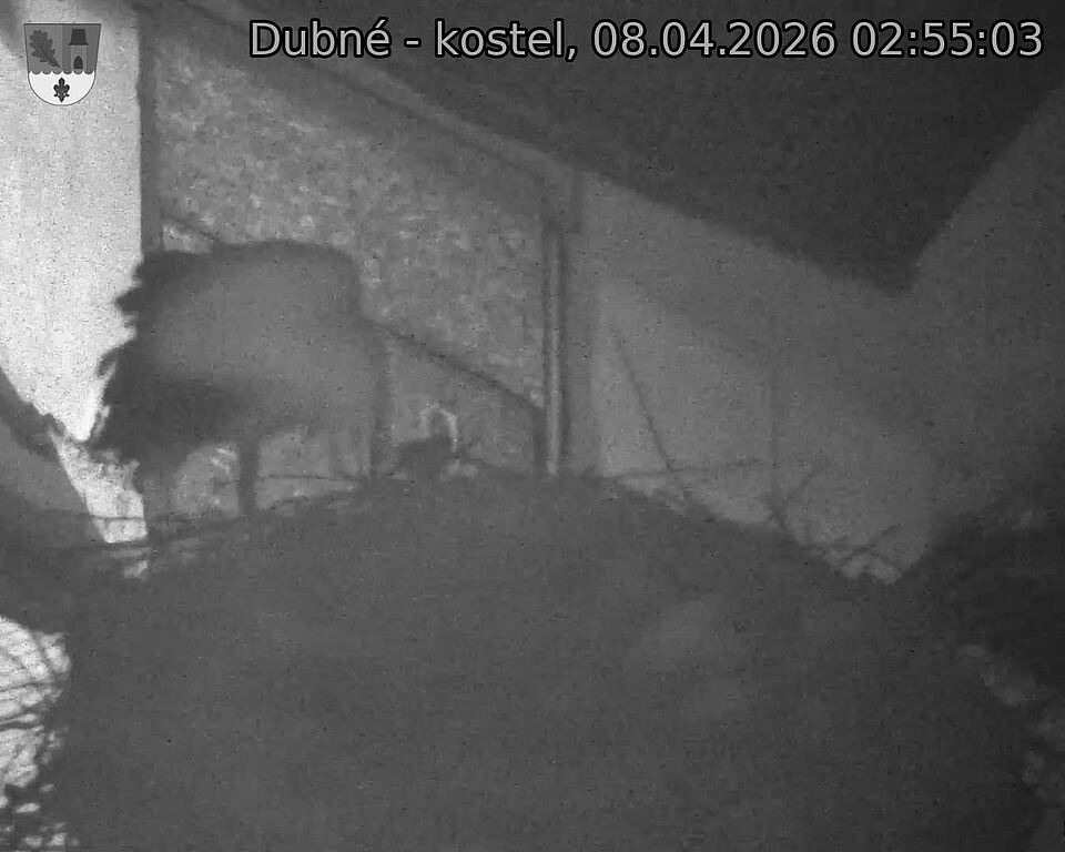 Capi_Dubne_20260408_025503.jpg (1350&nbsp;x&nbsp;1080)