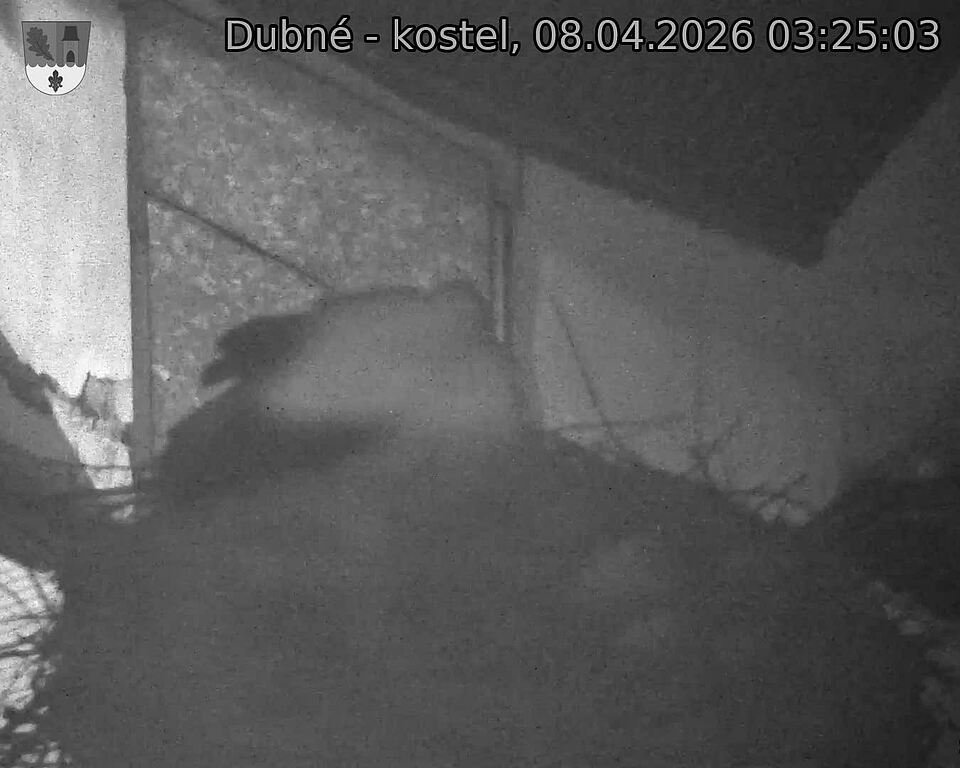 Capi_Dubne_20260408_032503.jpg (1350&nbsp;x&nbsp;1080)