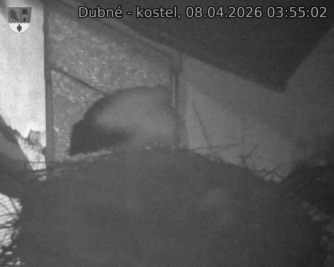 Capi_Dubne_20260408_035502.jpg (1350&nbsp;x&nbsp;1080)