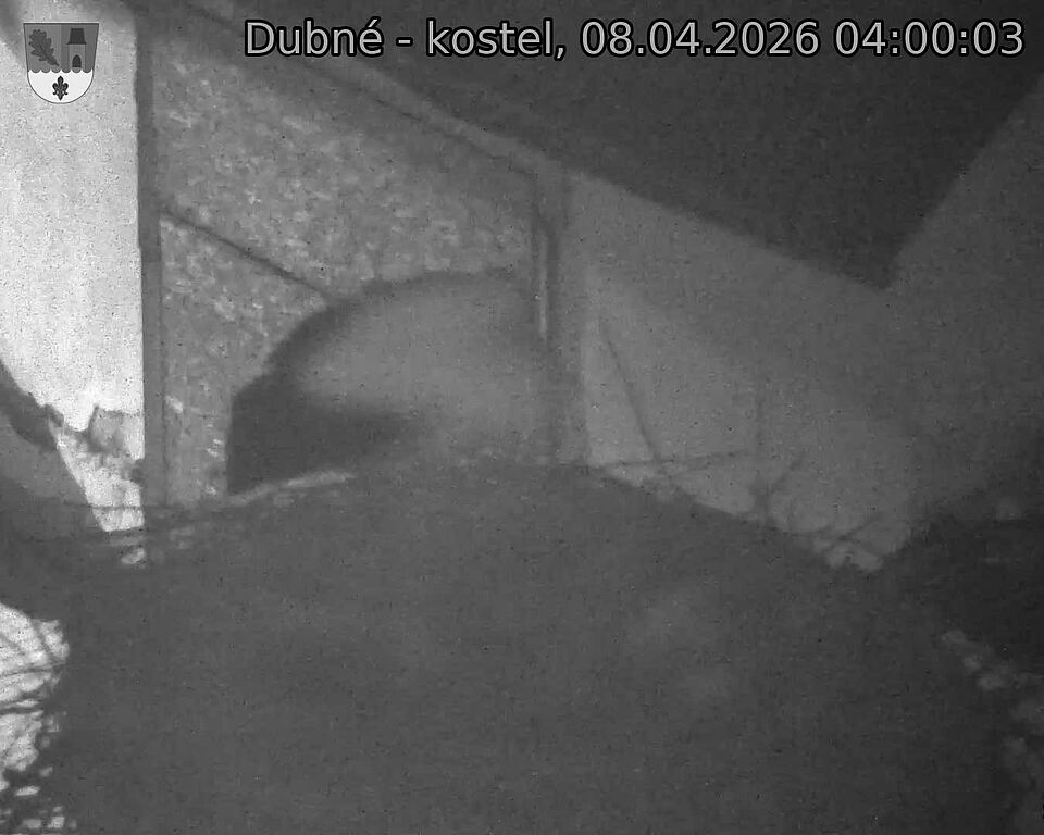 Capi_Dubne_20260408_040003.jpg (1350&nbsp;x&nbsp;1080)