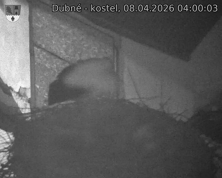 Capi_Dubne_20260408_040003.jpg (1350&nbsp;x&nbsp;1080)
