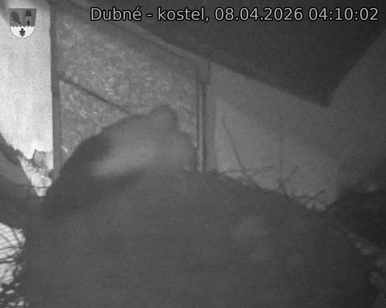 Capi_Dubne_20260408_041002.jpg (1350&nbsp;x&nbsp;1080)