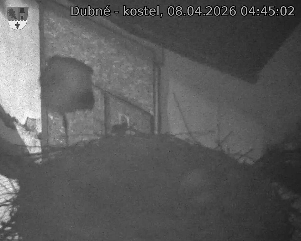 Capi_Dubne_20260408_044502.jpg (1350&nbsp;x&nbsp;1080)