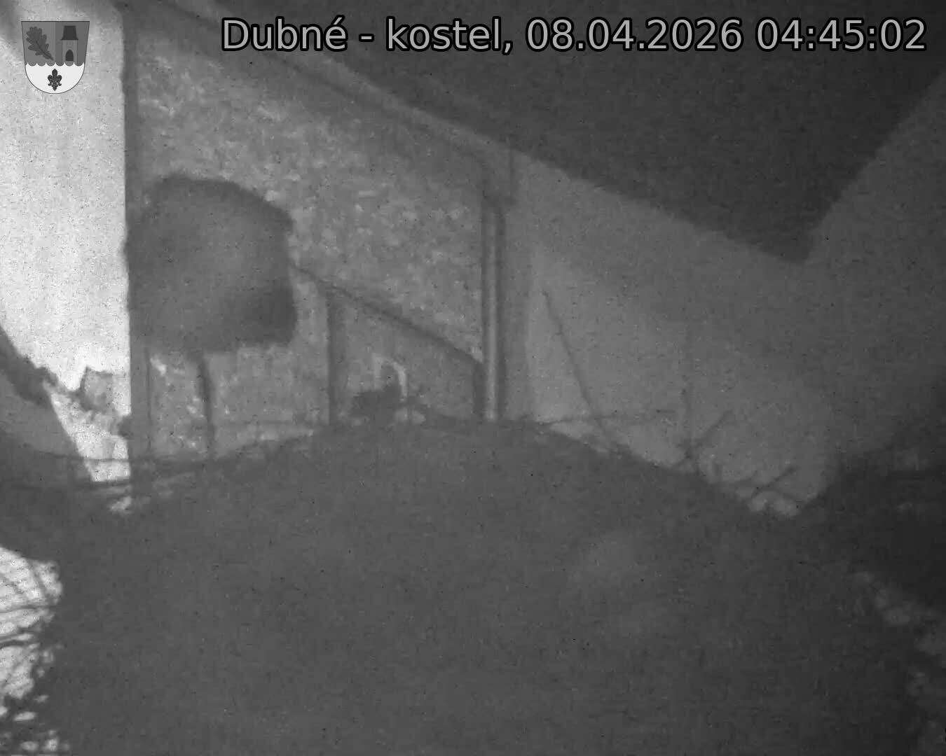 Capi_Dubne_20260408_044502.jpg (1350&nbsp;x&nbsp;1080)