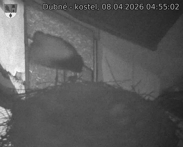 Capi_Dubne_20260408_045502.jpg (1350&nbsp;x&nbsp;1080)