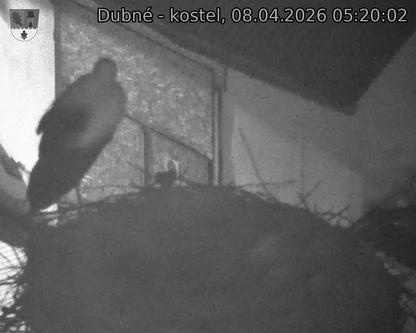 Capi_Dubne_20260408_052002.jpg (1350&nbsp;x&nbsp;1080)