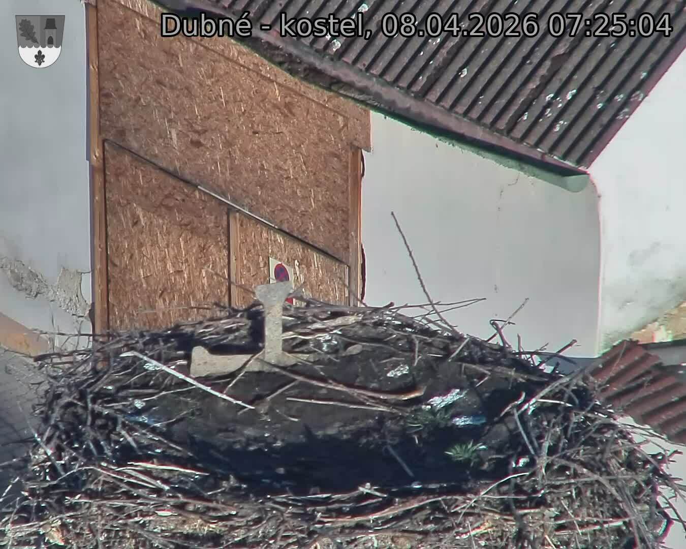 Capi_Dubne_20260408_072504.jpg (1350&nbsp;x&nbsp;1080)