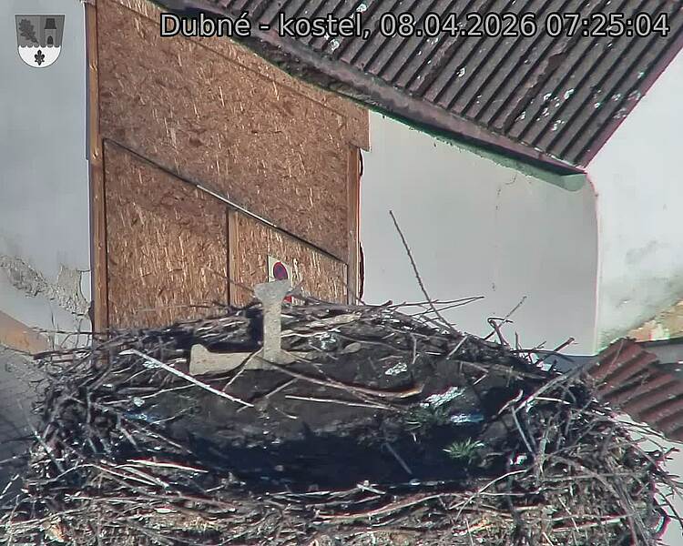 Capi_Dubne_20260408_072504.jpg (1350&nbsp;x&nbsp;1080)