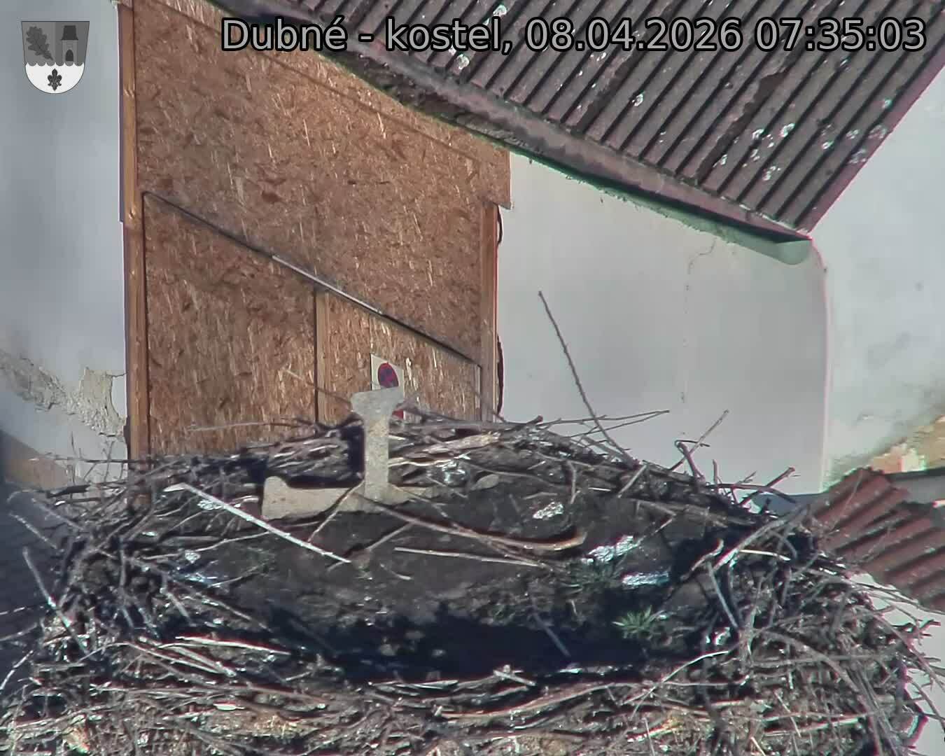 Capi_Dubne_20260408_073503.jpg (1350&nbsp;x&nbsp;1080)