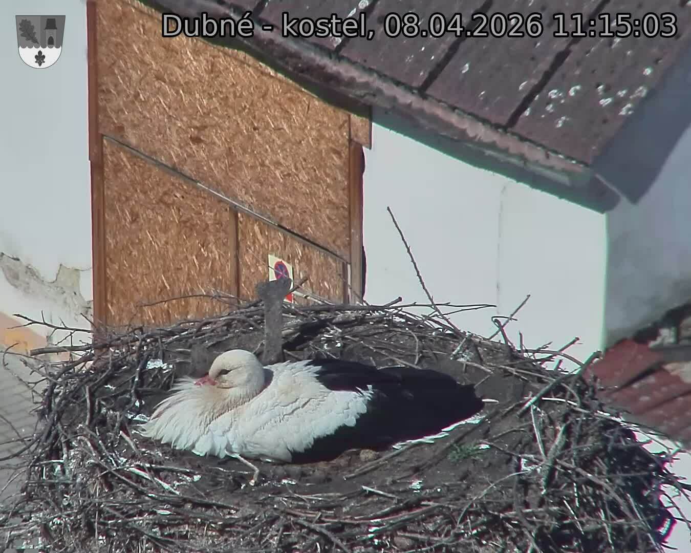 Capi_Dubne_20260408_111503.jpg (1350&nbsp;x&nbsp;1080)