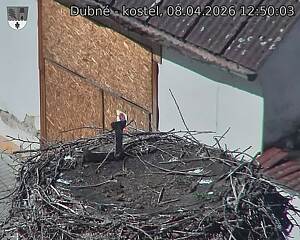 Capi_Dubne_20260408_125003.jpg (1350&nbsp;x&nbsp;1080)