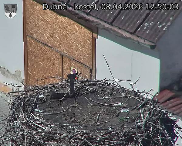 Capi_Dubne_20260408_125003.jpg (1350&nbsp;x&nbsp;1080)