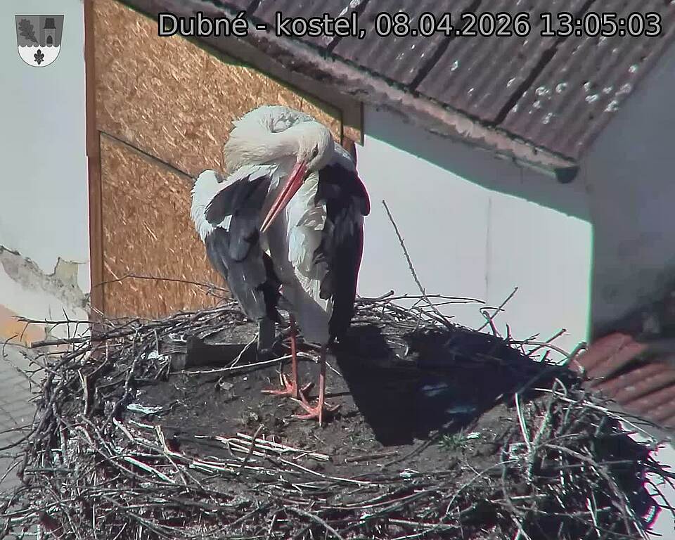 Capi_Dubne_20260408_130503.jpg (1350&nbsp;x&nbsp;1080)