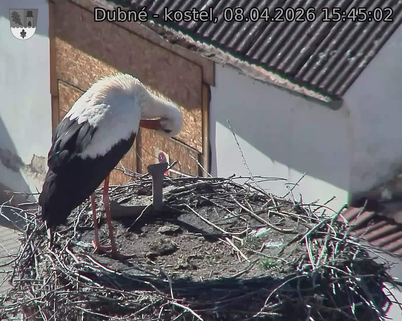 Capi_Dubne_20260408_154502.jpg (1350&nbsp;x&nbsp;1080)