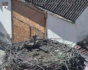 Capi_Dubne_20260408_155503.jpg (1350&nbsp;x&nbsp;1080)