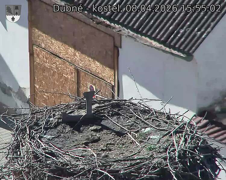 Capi_Dubne_20260408_155503.jpg (1350&nbsp;x&nbsp;1080)