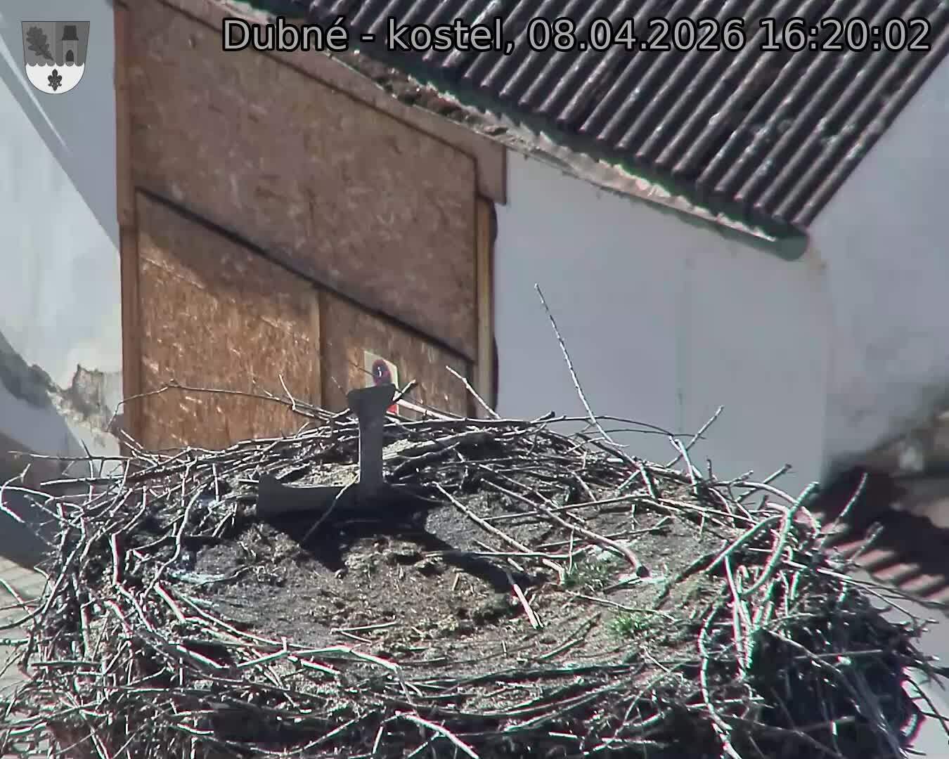 Capi_Dubne_20260408_162002.jpg (1350&nbsp;x&nbsp;1080)