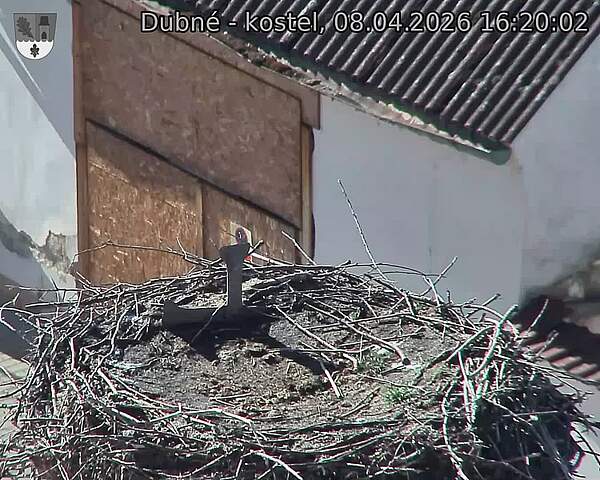 Capi_Dubne_20260408_162002.jpg (1350&nbsp;x&nbsp;1080)