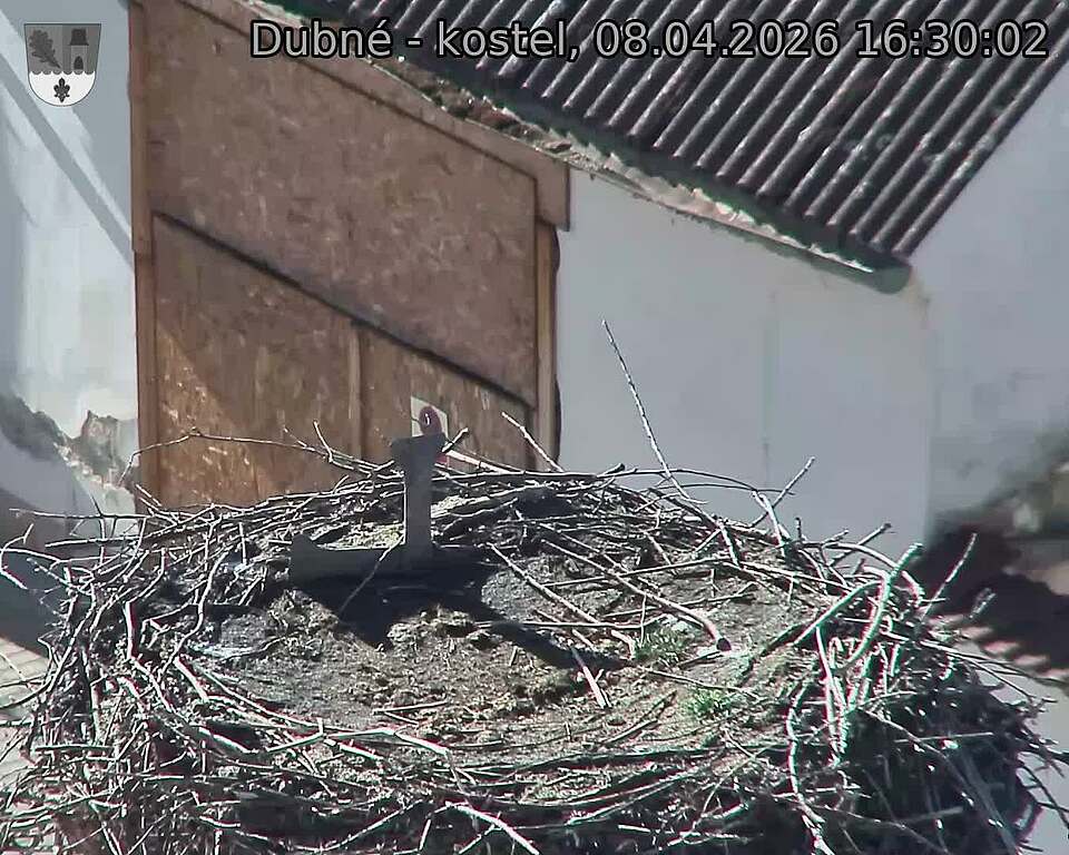 Capi_Dubne_20260408_163002.jpg (1350&nbsp;x&nbsp;1080)