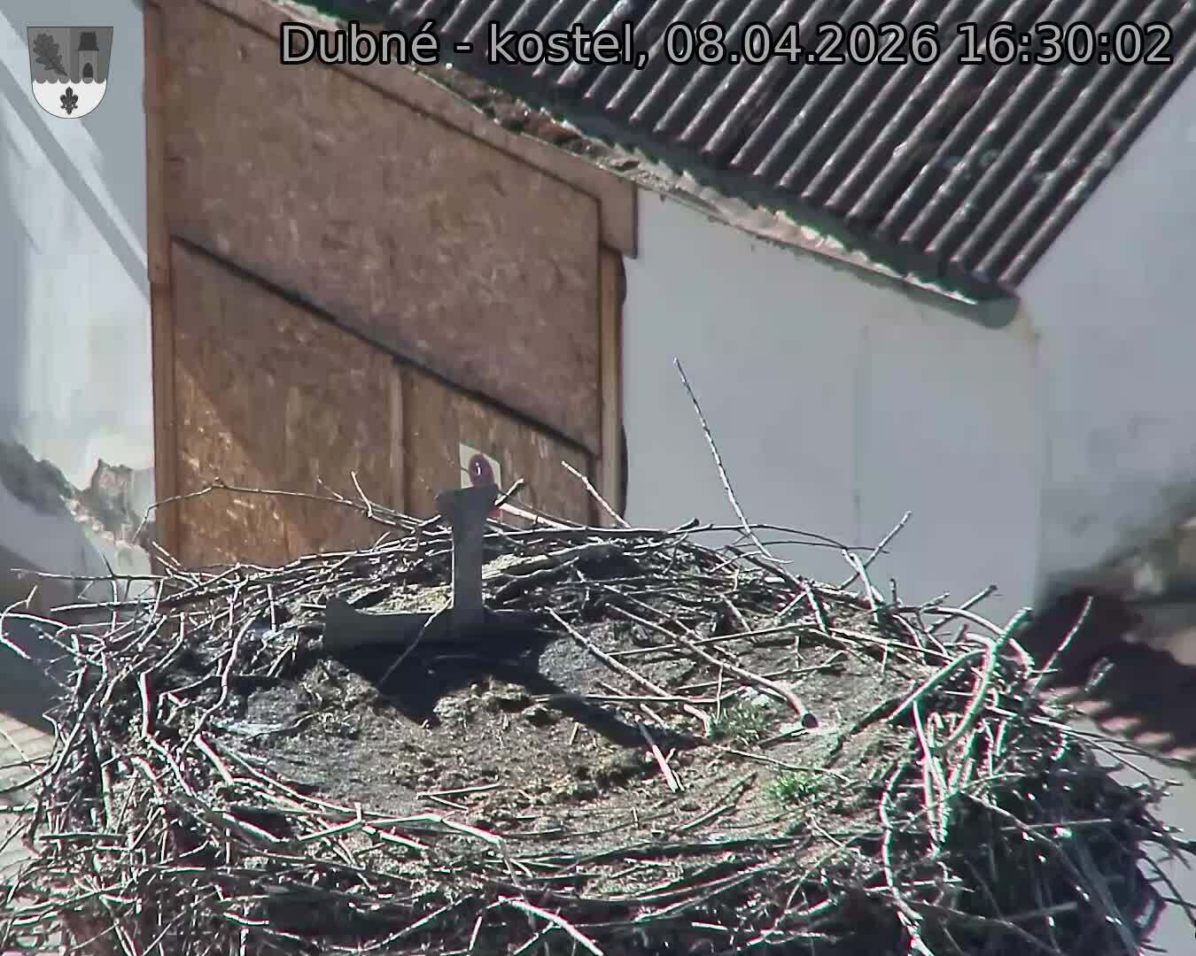 Capi_Dubne_20260408_163002.jpg (1350&nbsp;x&nbsp;1080)