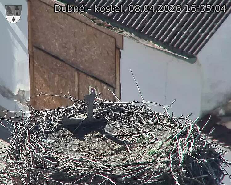 Capi_Dubne_20260408_163504.jpg (1350&nbsp;x&nbsp;1080)