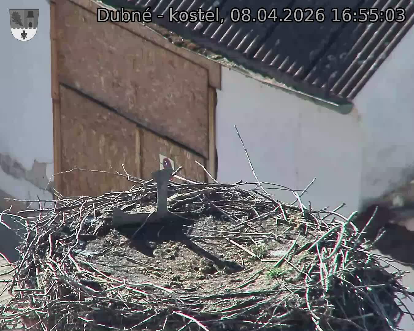 Capi_Dubne_20260408_165503.jpg (1350&nbsp;x&nbsp;1080)