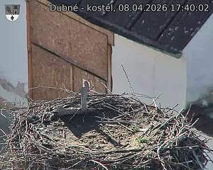 Capi_Dubne_20260408_174002.jpg (1350&nbsp;x&nbsp;1080)