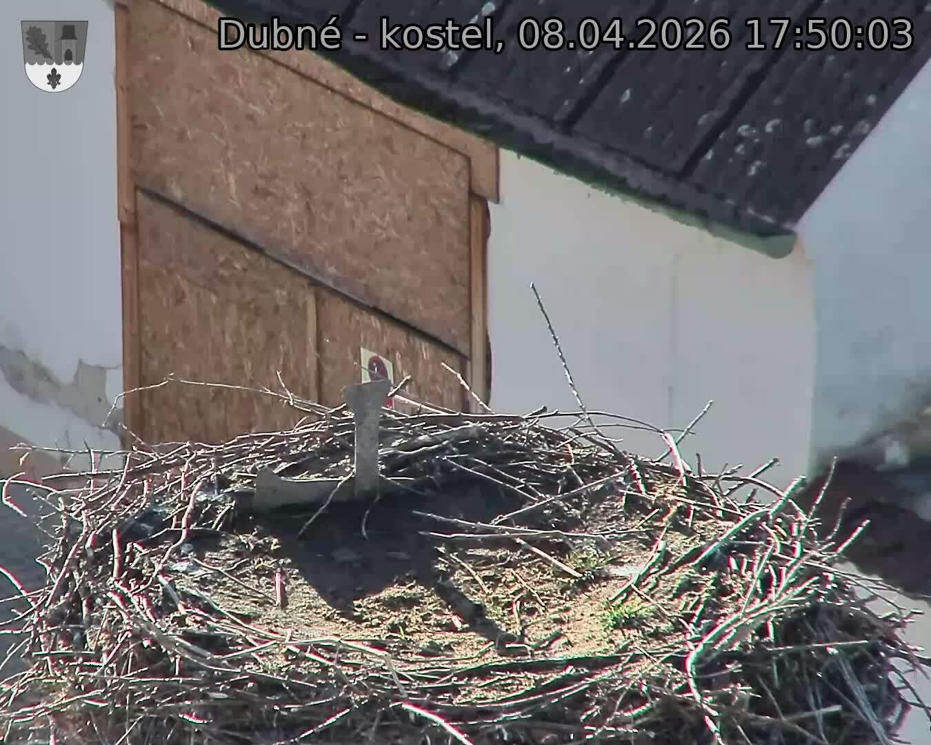 Capi_Dubne_20260408_175003.jpg (1350&nbsp;x&nbsp;1080)