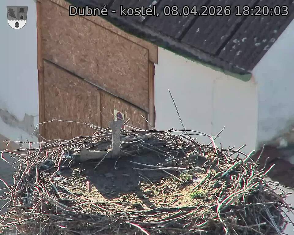 Capi_Dubne_20260408_182003.jpg (1350&nbsp;x&nbsp;1080)