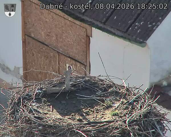 Capi_Dubne_20260408_182502.jpg (1350&nbsp;x&nbsp;1080)