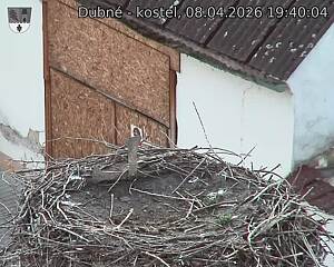 Capi_Dubne_20260408_194004.jpg (1350&nbsp;x&nbsp;1080)