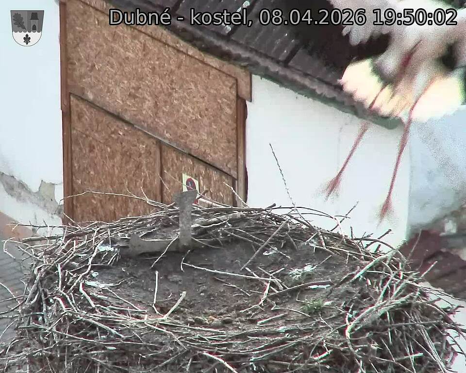 Capi_Dubne_20260408_195002.jpg (1350&nbsp;x&nbsp;1080)