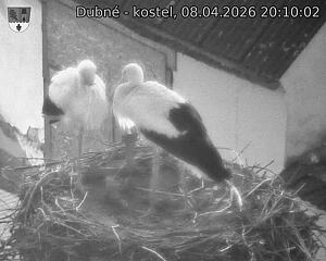 Capi_Dubne_20260408_201002.jpg (1350&nbsp;x&nbsp;1080)