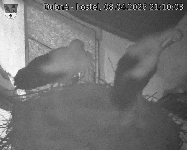 Capi_Dubne_20260408_211003.jpg (1350&nbsp;x&nbsp;1080)