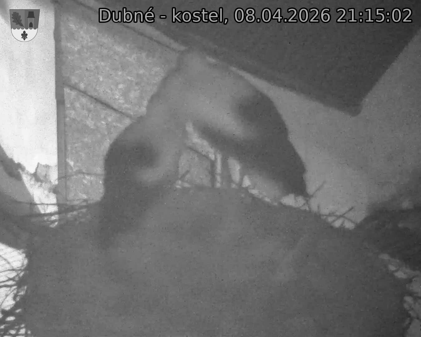 Capi_Dubne_20260408_211502.jpg (1350&nbsp;x&nbsp;1080)