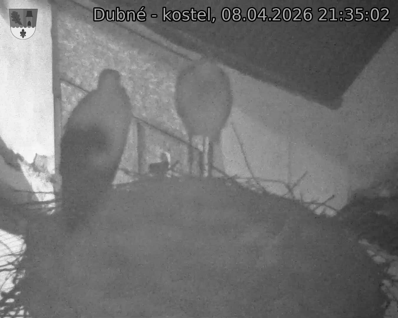 Capi_Dubne_20260408_213502.jpg (1350&nbsp;x&nbsp;1080)
