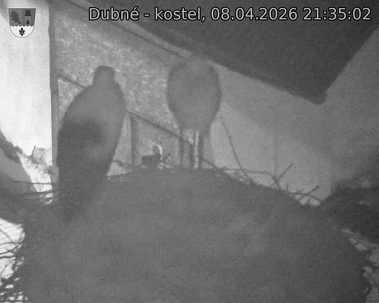Capi_Dubne_20260408_213502.jpg (1350&nbsp;x&nbsp;1080)
