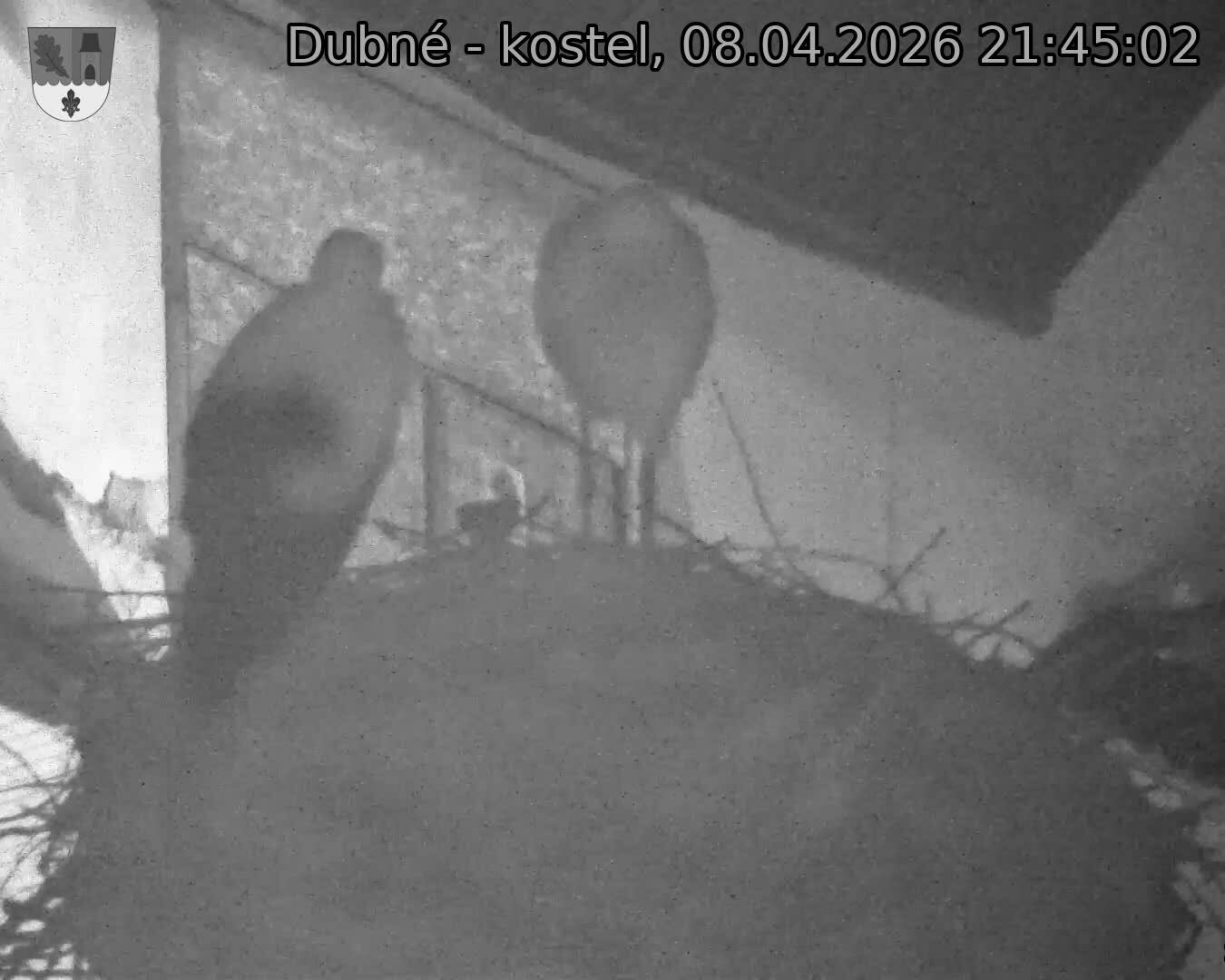 Capi_Dubne_20260408_214502.jpg (1350&nbsp;x&nbsp;1080)
