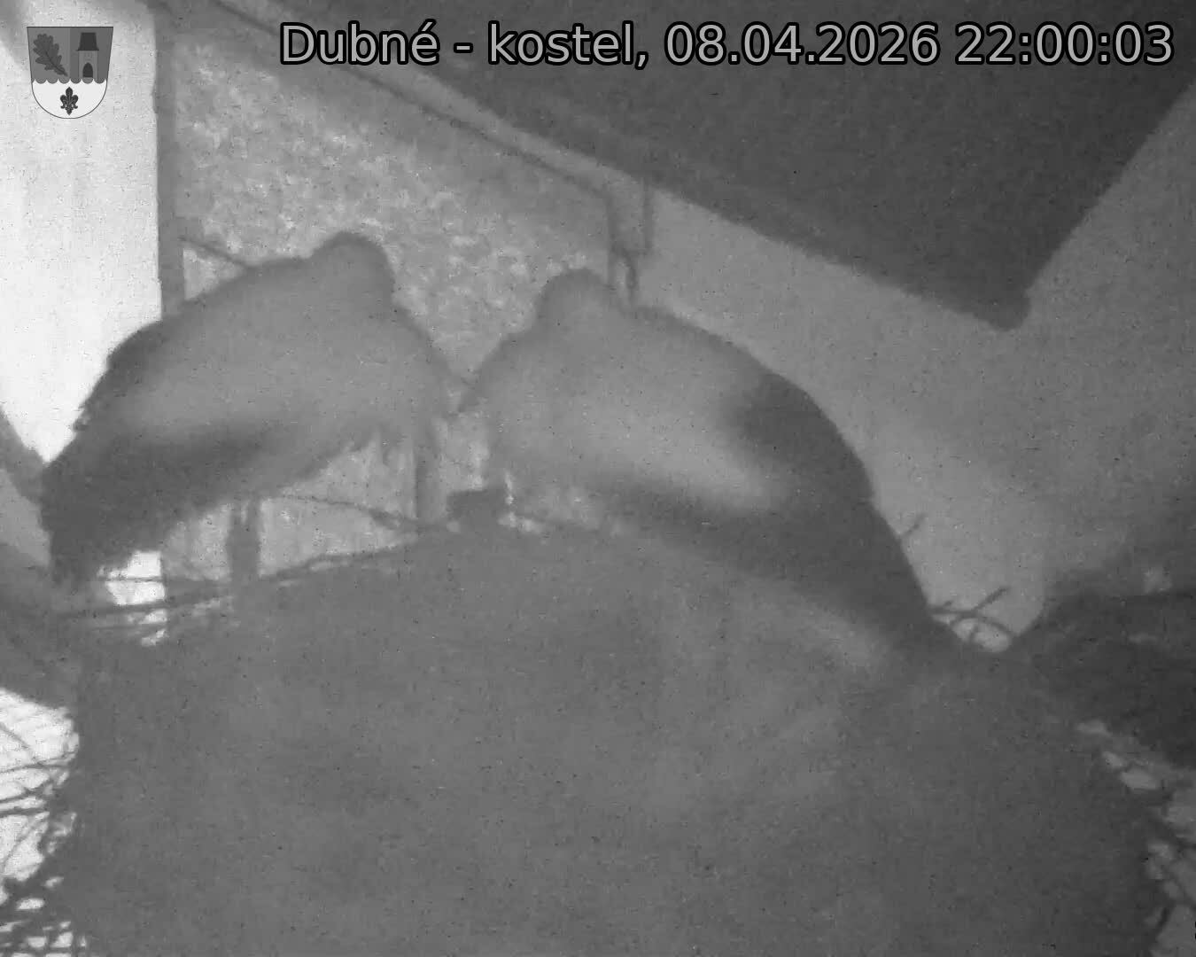 Capi_Dubne_20260408_220003.jpg (1350&nbsp;x&nbsp;1080)