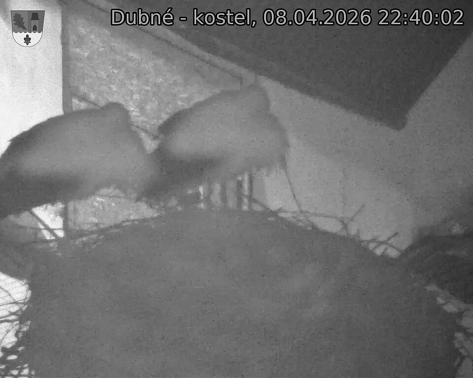 Capi_Dubne_20260408_224002.jpg (1350&nbsp;x&nbsp;1080)