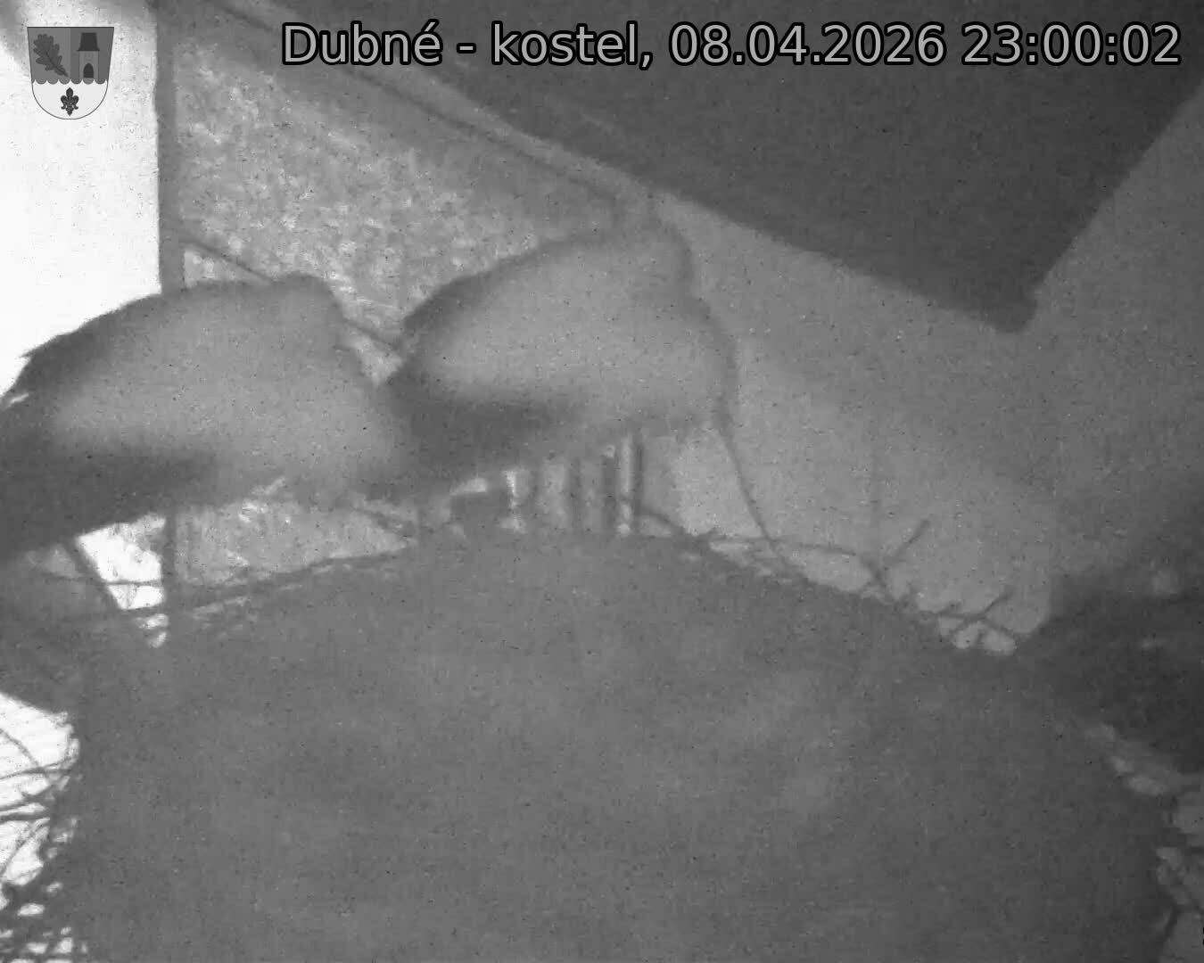Capi_Dubne_20260408_230002.jpg (1350&nbsp;x&nbsp;1080)