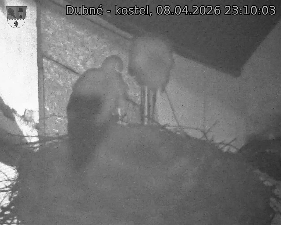 Capi_Dubne_20260408_231003.jpg (1350&nbsp;x&nbsp;1080)