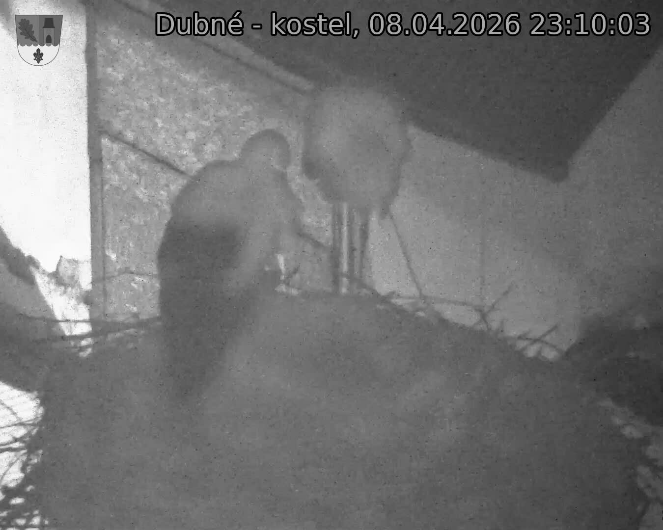 Capi_Dubne_20260408_231003.jpg (1350&nbsp;x&nbsp;1080)