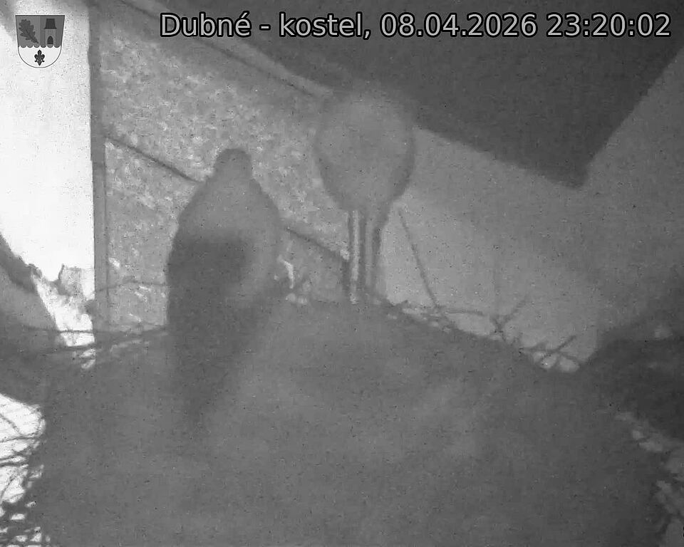 Capi_Dubne_20260408_232002.jpg (1350&nbsp;x&nbsp;1080)