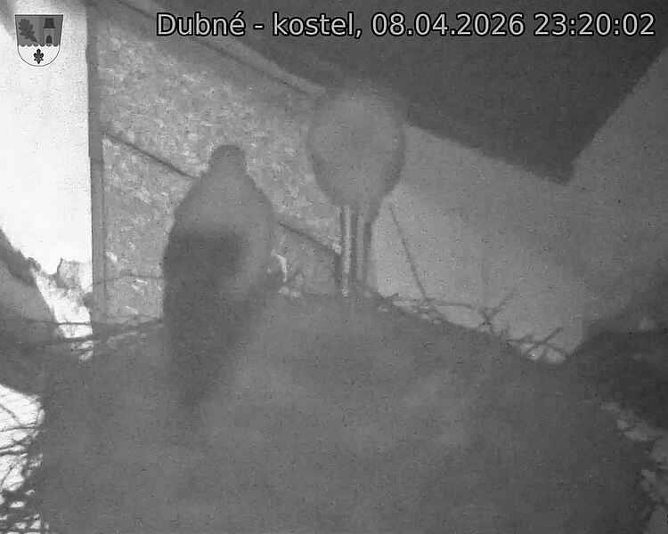 Capi_Dubne_20260408_232002.jpg (1350&nbsp;x&nbsp;1080)