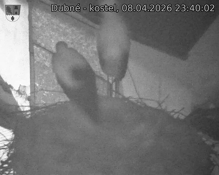 Capi_Dubne_20260408_234002.jpg (1350&nbsp;x&nbsp;1080)