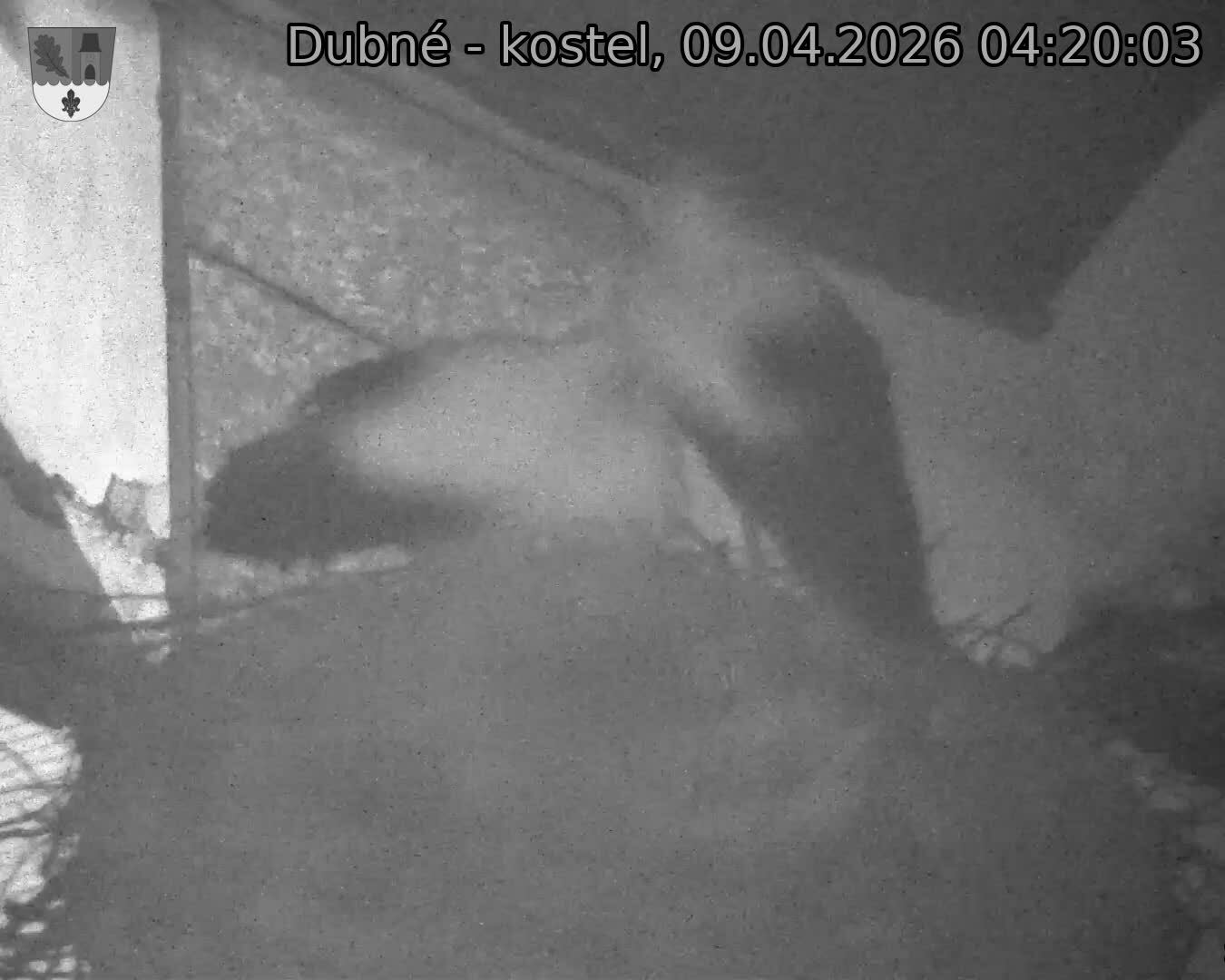 Capi_Dubne_20260409_042003.jpg (1350&nbsp;x&nbsp;1080)