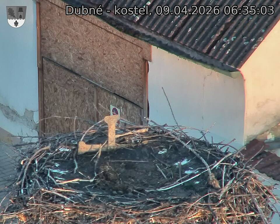 Capi_Dubne_20260409_063503.jpg (1350&nbsp;x&nbsp;1080)